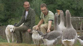 En terre animale à Guédelon