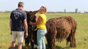 Envie dehors ! Marais breton vendéen, entre terre et mer © Clémence Laroque