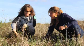 Julie Hattu dans le Layon © Clémence Laroque