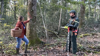 Envie dehors ! A l’orée de la forêt du Gâvre