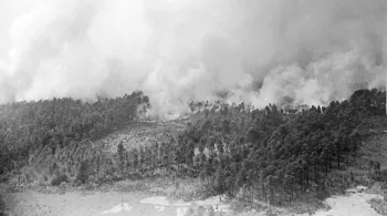 Incendies foret 1949