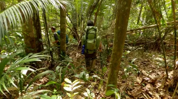 Les plus beaux treks : Guyane