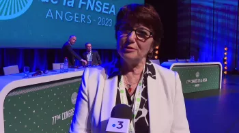 Christiane Lambert