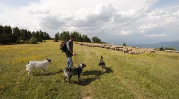 Notre part sauvage CREDIT Supermouche_Productions_JP_Valentin