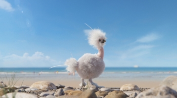 Poule à la plage