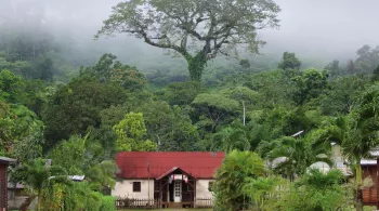 En 2022, France 3 lance la 10e édition du "Village Préféré des Français". Un concours permettant de mettre en avant 14 territoires français. Cette année, la commune de Saül, en Guyane, a été choisie pour représenter l'Outre-mer. Les votes sont ouverts...