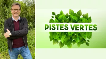 Pistes Vertes présentées par Laurent Quembre