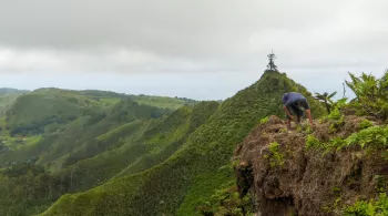 Sainte-Hélène, bastion de la biodiversité - Sommet de Dianas Peak_Alexandra Childs
