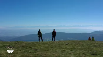 TALE mont d'or