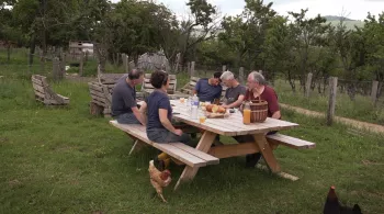 pique nique dans la nature