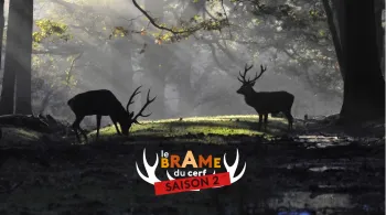 Le brame du cerf saison 2