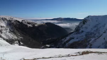 Massif des Vosges © Stéphane Matuchet - FTV
