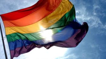 DRAPEAU LGBT+