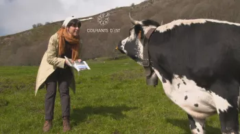Courants d'Est - transhumance