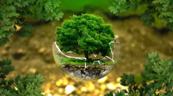 Environnement