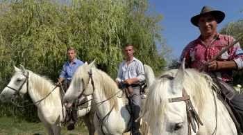 Ô la belle vie - Fière et intrépide, la petite Camargue 