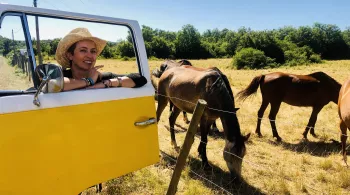 Ô la belle vie - Le Larzac, la tribu de Gaillac