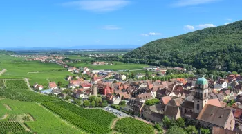 70 ans de la Route des vins - terroirs et vignes - Kaysersberg et alentours