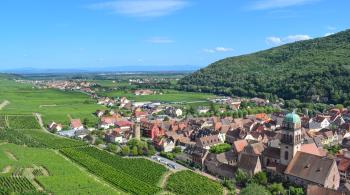 70 ans de la Route des vins - terroirs et vignes - Kaysersberg et alentours