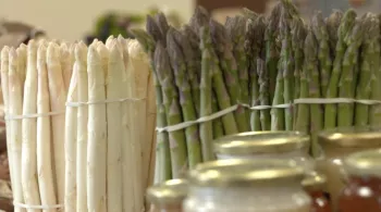 Les asperges
