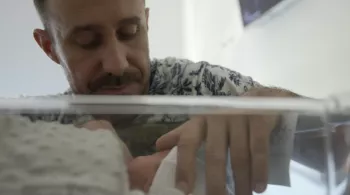 Besoin de papa