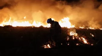 Les gardiens de la forêt des Landes
