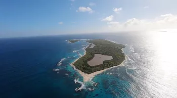 La vie sauvage des monuments aux Petites Antilles