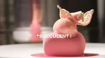 Succulent ! Fraise - crédit FTV