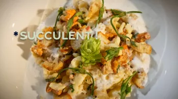 Succulent ! Le houblon jusque dans nos assiettes
