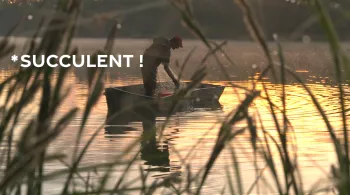 pêcheur professionnel dans une barque au soleil levant