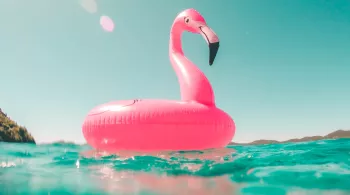 Bouée flamant rose