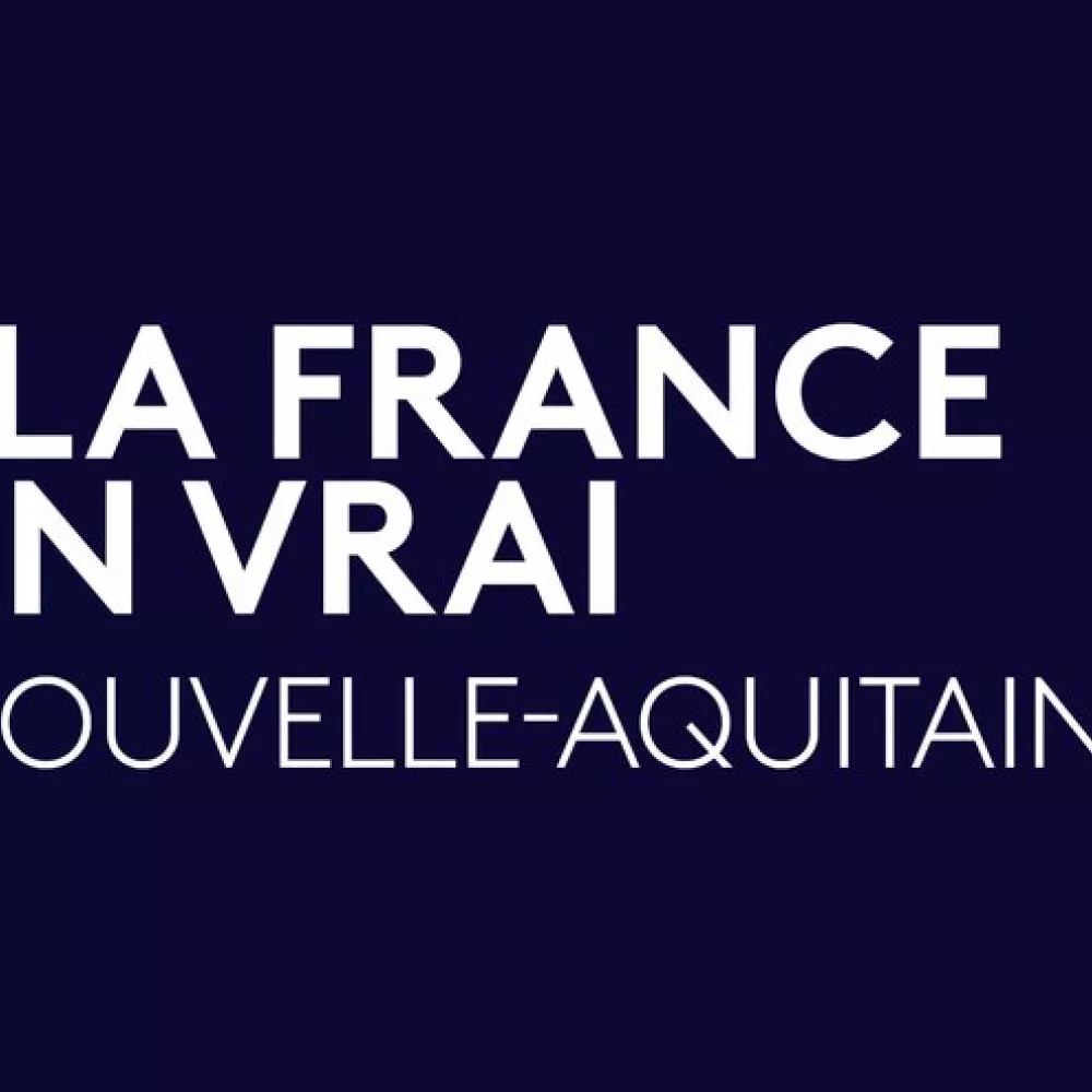 LOGO LA FRANCE EN VRAI