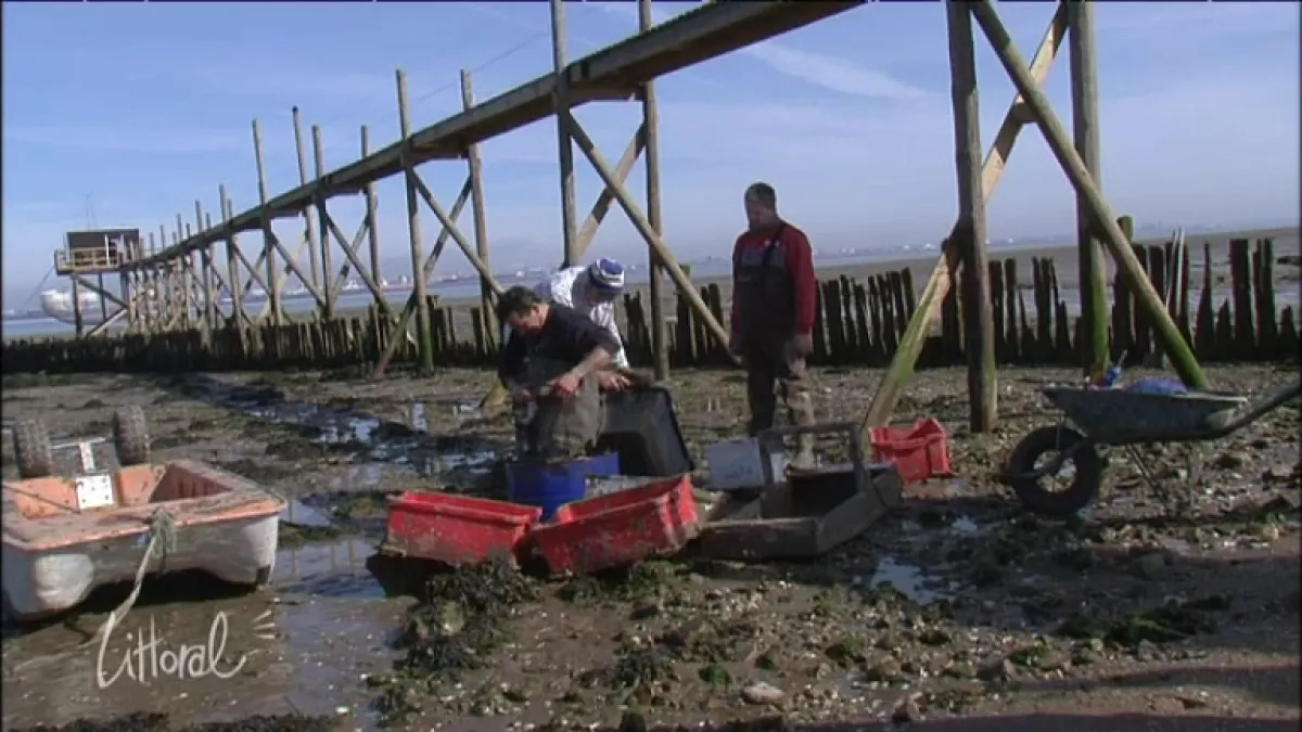 pêcherie 1