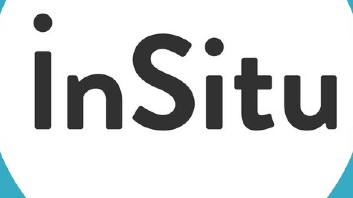 Logo Insitu FTV