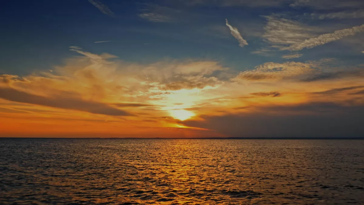 LE SANG DES ILES D'OR