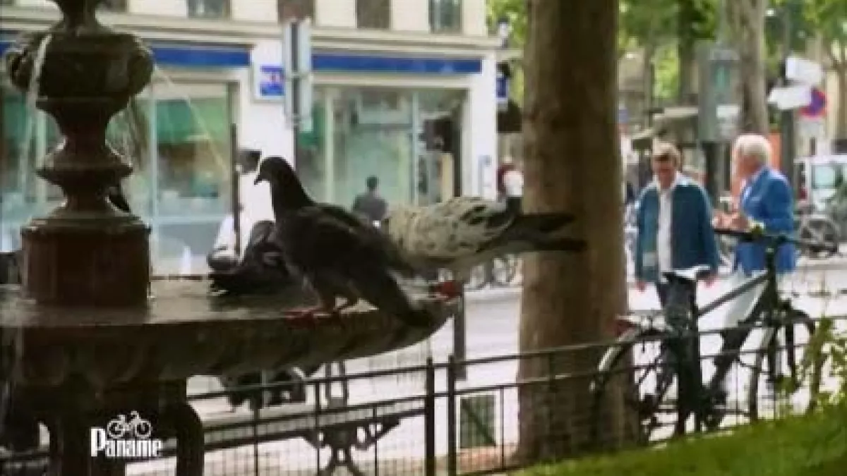 Yvan Hallouin et Fredérick Gersal Autour de la Place Maubert