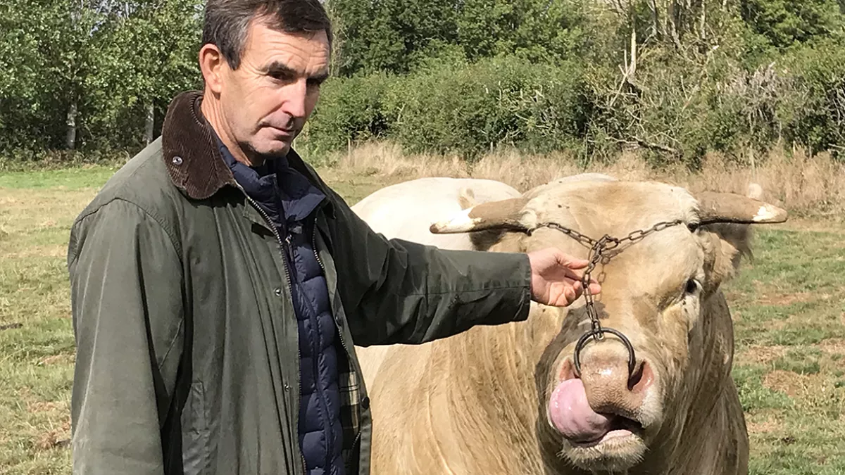 Ça roule en cuisine au Vaudésir à Avallon Ça roule en cuisine au Vaudésir à Avallon