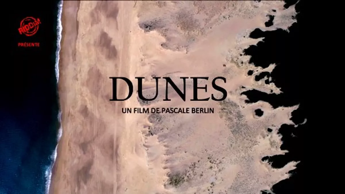 Dunes Dunes
