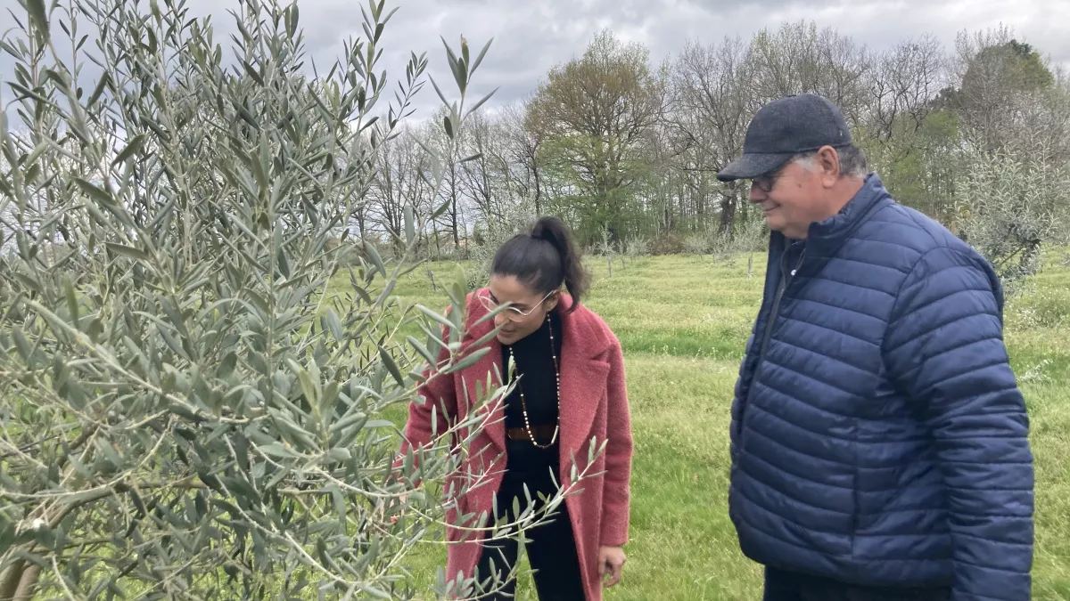 Le goût des rencontres en Nouvelle-Aquitaine à Aillas Le goût des rencontres en Nouvelle-Aquitaine
