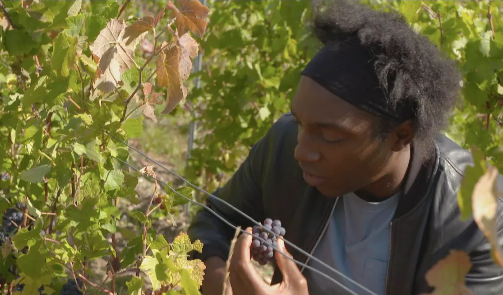 Hauts-de-France : Kamini avec "Les gens des hauts"