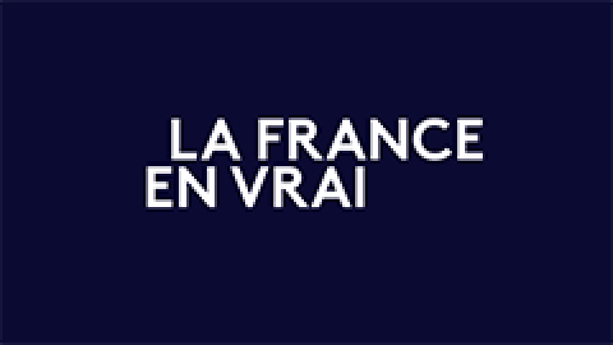 La France en vrai logo