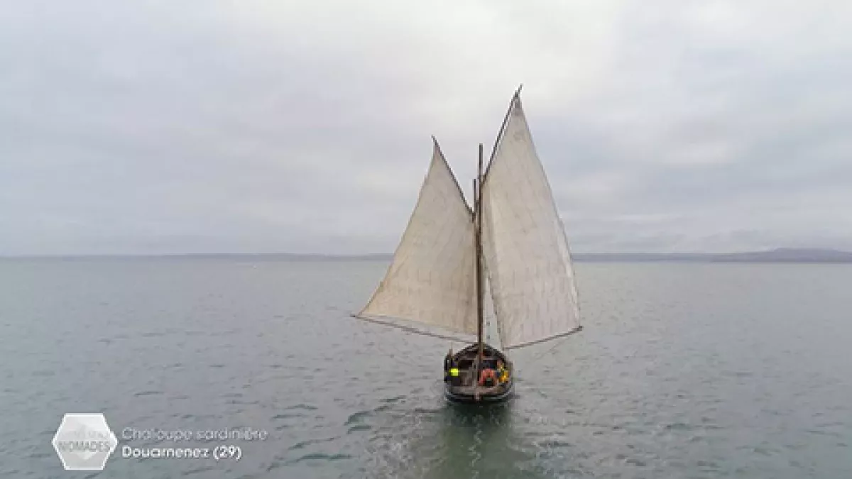 Chaloupe sardinère © Les Films de Traverse