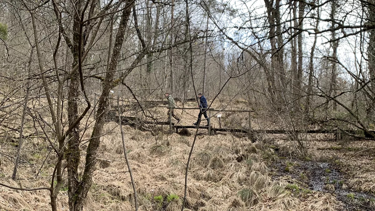 La Tête à l'Endroit dans le Châtillonnais La Tête à l'Endroit dans le Châtillonnais
