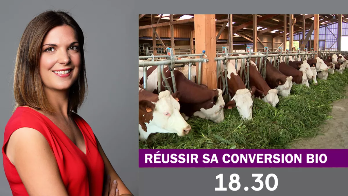 18.30 avec Marie Jolly 18.30 avec Marie Jolly