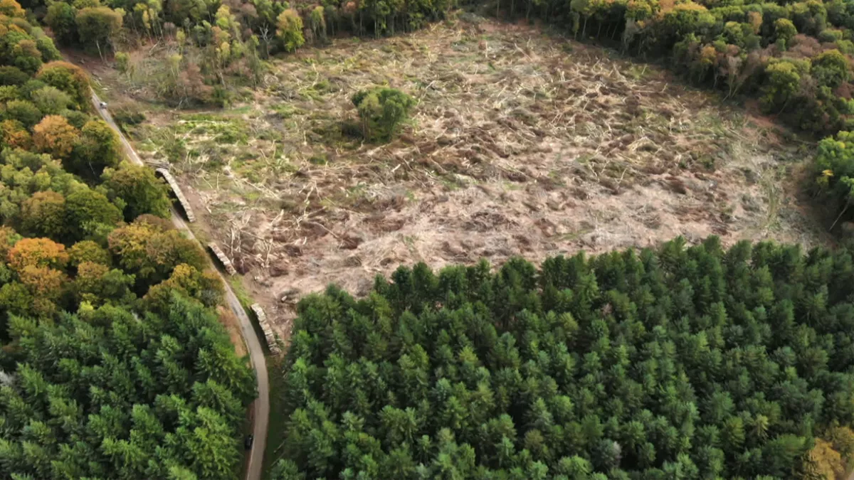 Morvan, pour quelques douglas de plus Morvan, pour quelques douglas de plus