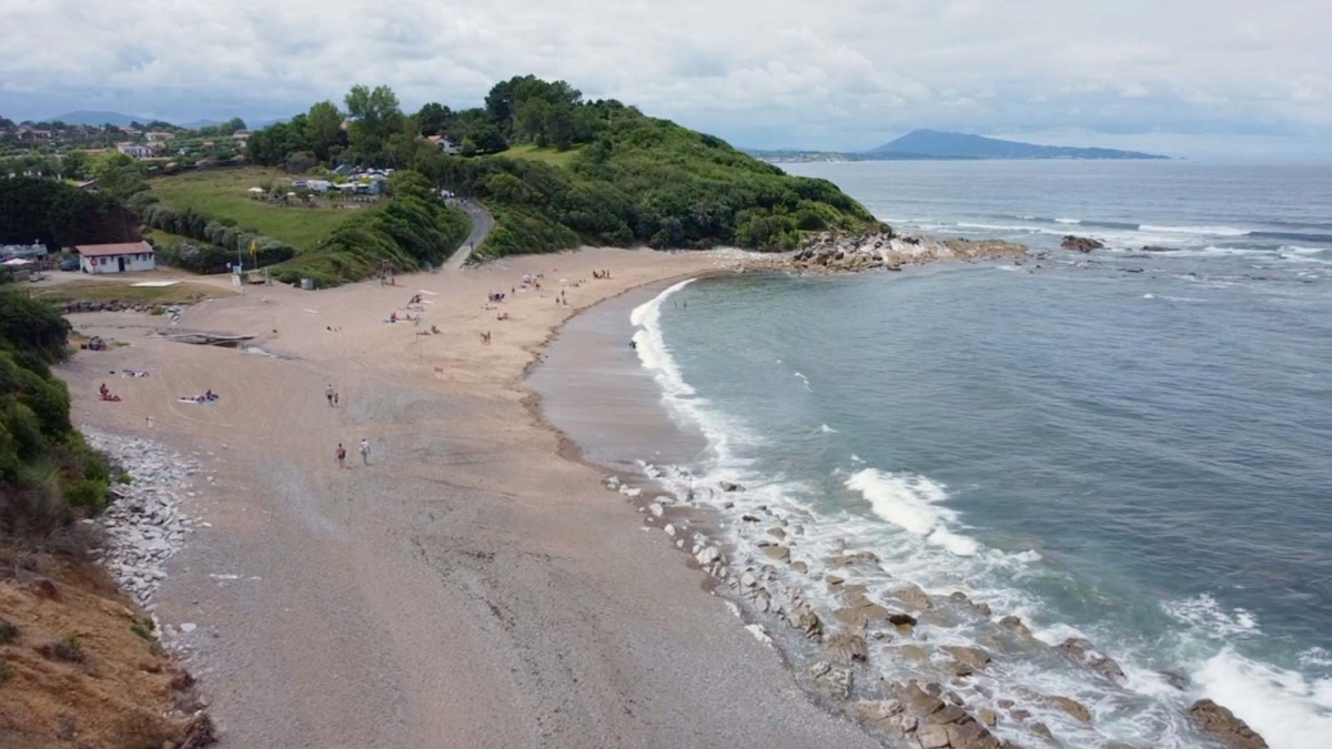 Un monde sans plastique, dans la collection Aux arbres citoyens