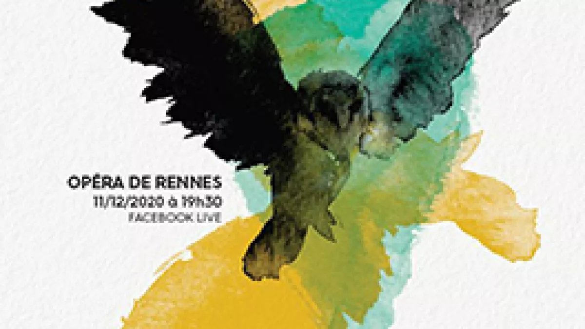 Visuel opéra La Dame Blanche_ programme en salle