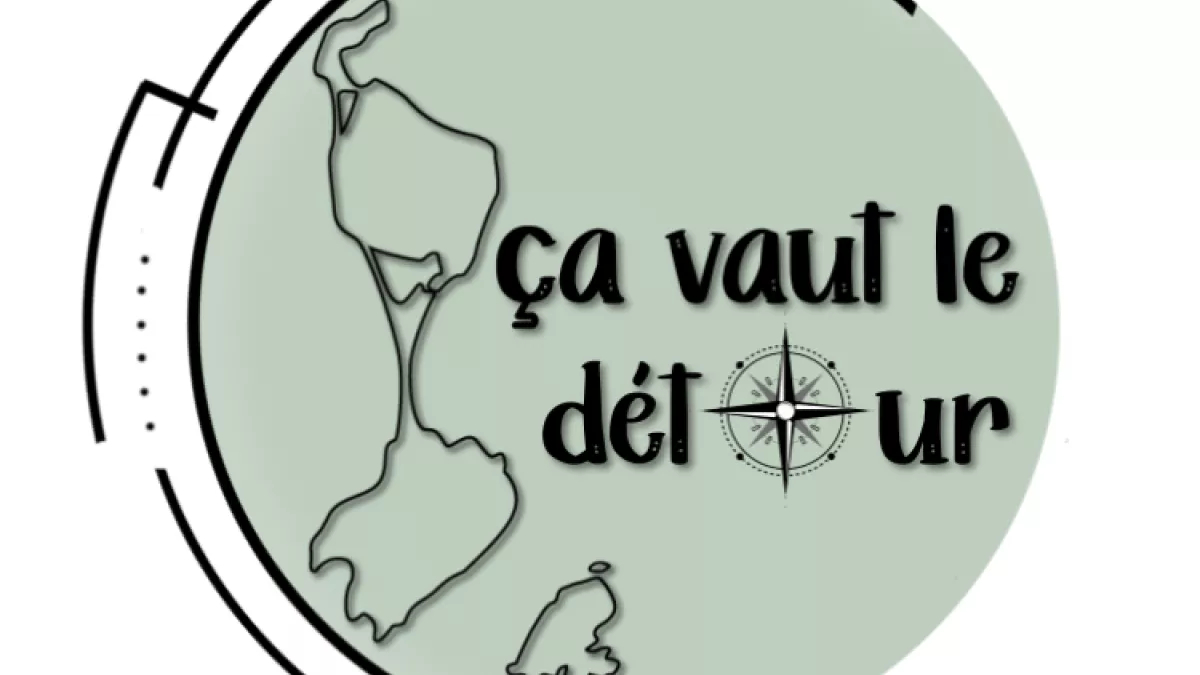 logo CVLD 240 px
