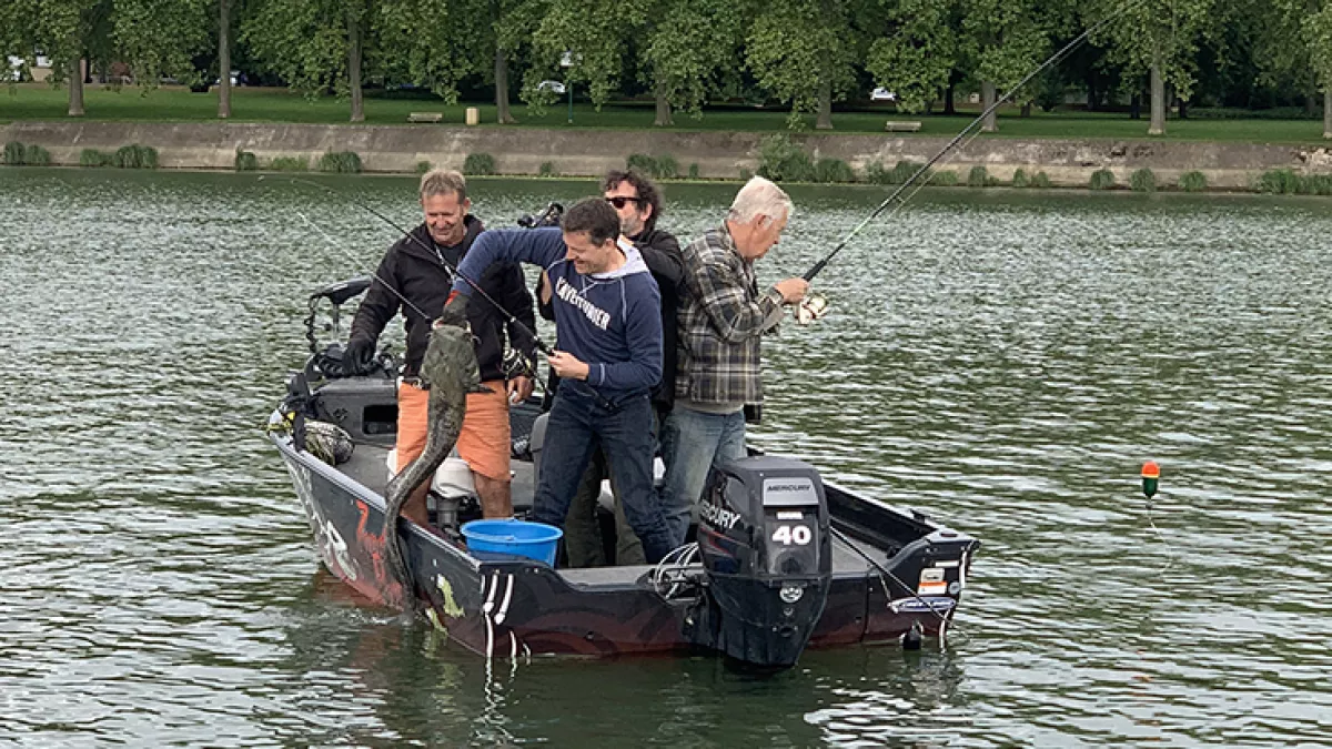 La Tête à l'Endroit à Mâcon La Tête à l'Endroit à Mâcon