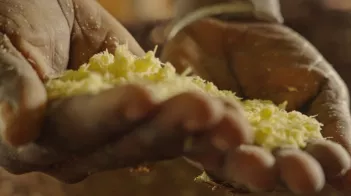 Avec Manioc et Piment ©Kreyolimages